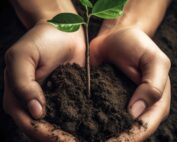Association Reforest'Action, planter des arbres, écologie, développement durable