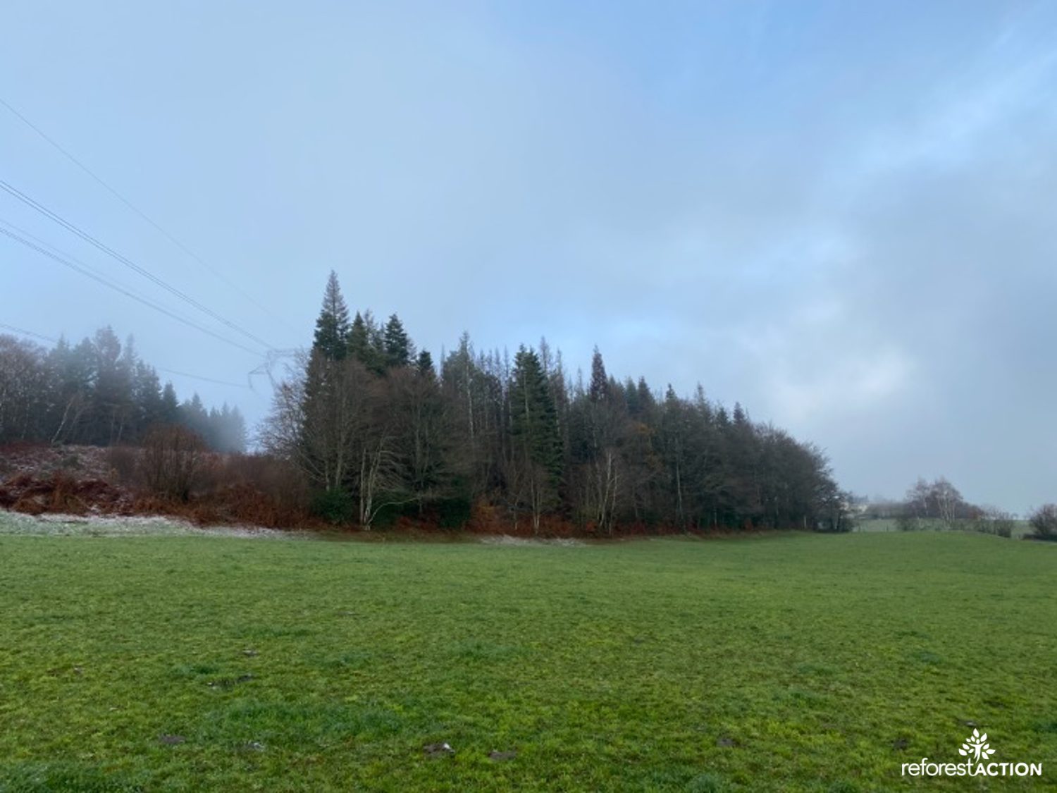 Reforestation d'une forêt à Glénat, action solidaire ecosystemes