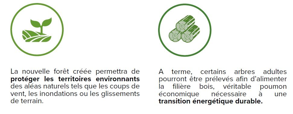 Reforestation par CTS 