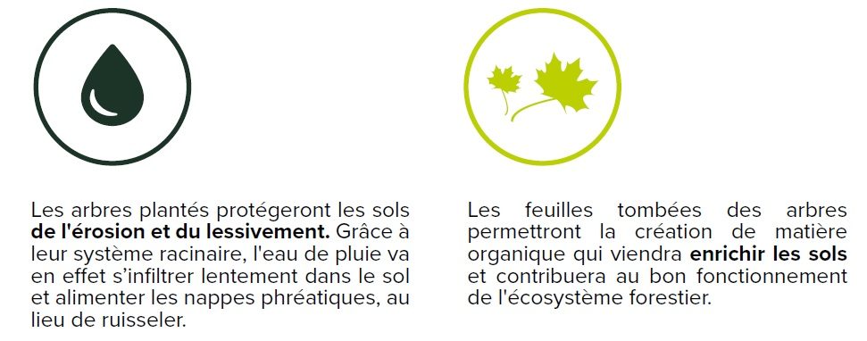 Reforestation action de CTS agîr pour la planète